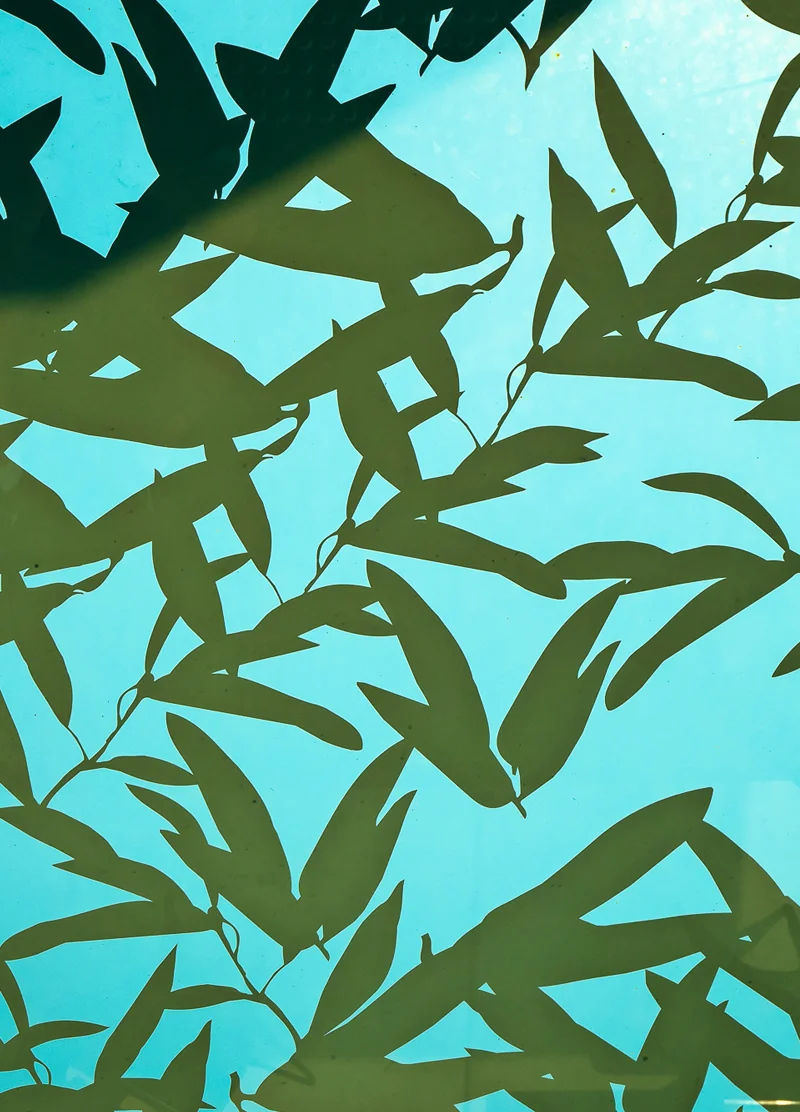 Oceanarc