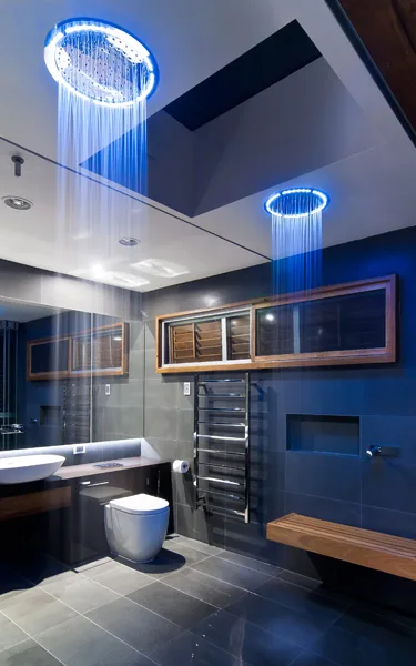 Bathroom interior with skylight beams